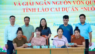Hội Nông dân tỉnh Lào Cai giải ngân 800 triệu đồng hỗ trợ hội viên nuôi trâu sinh sản