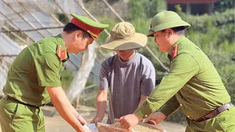 Vì cuộc sống bình yên 