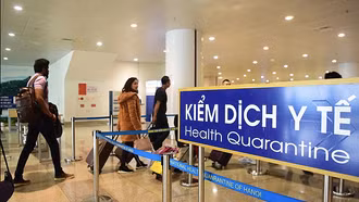 Bộ Y tế khuyến cáo không ăn trái cây bị dơi, chim cắn phòng virus Nipah