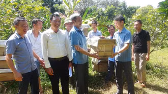 Bàn giao ong giống, vật tư triển khai mô hình nuôi ong mật tại xã Xuân Quang