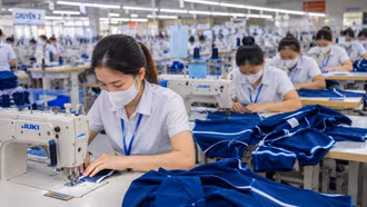 Từ 10/9: Nhiều hành vi vi phạm về lao động, bảo hiểm xã hội bị phạt tới 75 triệu đồng