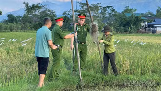 Phường Nghĩa Lộ ra quân gỡ bỏ lưới săn bắt, bảo vệ chim di cư