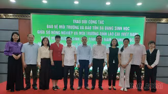 Lào Cai - Vân Nam thúc đẩy hợp tác bảo vệ môi trường và bảo tồn đa dạng sinh học xuyên biên giới