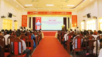 Nhiều địa phương kiện toàn tổ chức cơ sở sau sắp xếp thôn, tổ dân phố