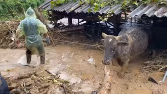 Xã Púng Luông có 08 nhà bị ảnh hưởng do mưa lớn