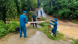 Trấn Yên chủ động ứng phó mưa lớn, khẩn trương khắc phục thiệt hại