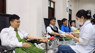 Hơn 600 người tham gia Ngày hội hiến máu tình nguyện năm 2025