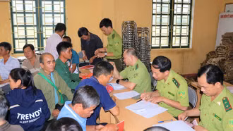 Cấp trên 1.100 ha mã số vùng trồng rừng nguyên liệu tại hai xã Khánh Hòa và Phúc Lợi