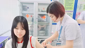 Lục Yên tăng cường phòng, chống bệnh dại
