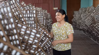Lào Cai mở rộng diện tích dâu tằm