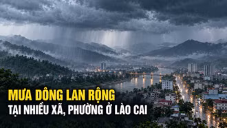 Ngày 7/9, mưa dông lan rộng tại nhiều xã, phường ở Lào Cai