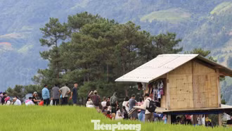 Du khách nườm nượp check-in Mù Cang Chải