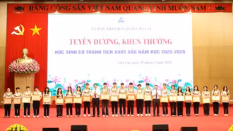Không tổ chức thi học sinh giỏi cấp trường, cấp xã, trừ trường hợp nào?
