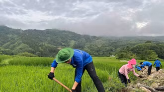 Tuổi trẻ phường Nghĩa Lộ triển khai nhiều hoạt động tình nguyện hè