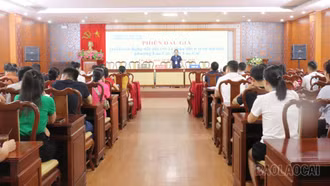 Phường Lào Cai đấu giá thành công 14 thửa đất