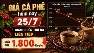 Giá cà phê hôm nay 25/7: Giảm phiên thứ ba liên tiếp, mất tới 1.800 đồng/kg