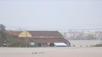 Cộng đồng quốc tế hỗ trợ Việt Nam khắc phục hậu quả thiên tai