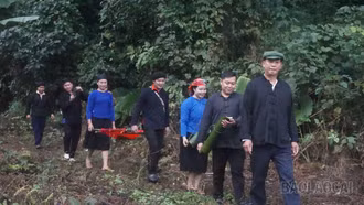 Tưng bừng lễ hội Lồng Tồng – Mừng Đảng, mừng Xuân Bính Ngọ 2026 tại xã Cốc Lầu