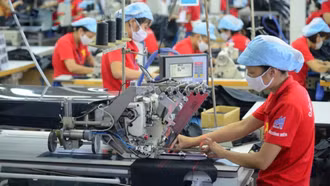 Doanh nghiệp Việt cần thay đổi mô hình xuất khẩu khi Mỹ áp thuế đối ứng 20%