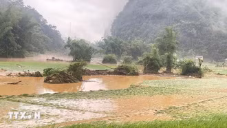 Mưa lớn, dông, lốc tại nhiều địa phương gây thiệt hại ước hơn 10 tỷ đồng