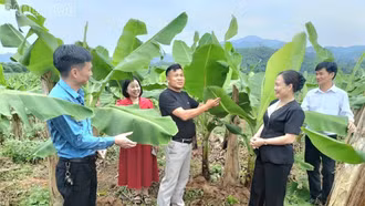 Khi nông dân sát cánh làm giàu
