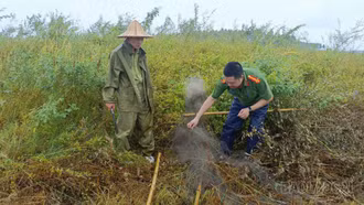 Lào Cai: Tháo dỡ nhiều dụng cụ bẫy chim, thả 7 cá thể chim ngói về tự nhiên