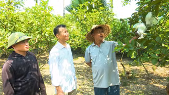Lục Yên: Các thôn mới nhanh chóng đi vào hoạt động ổn định