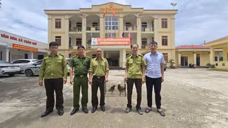 Người dân tự nguyện giao nộp động vật hoang dã quý hiếm 