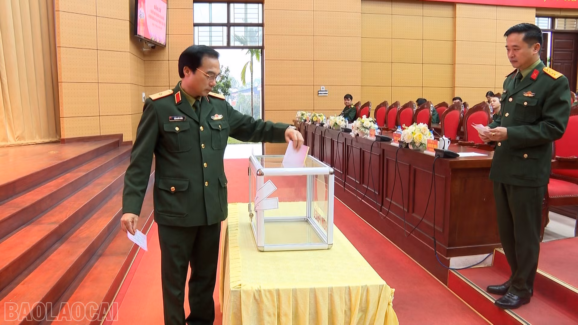 baolaocai-bl_anh-5.jpg