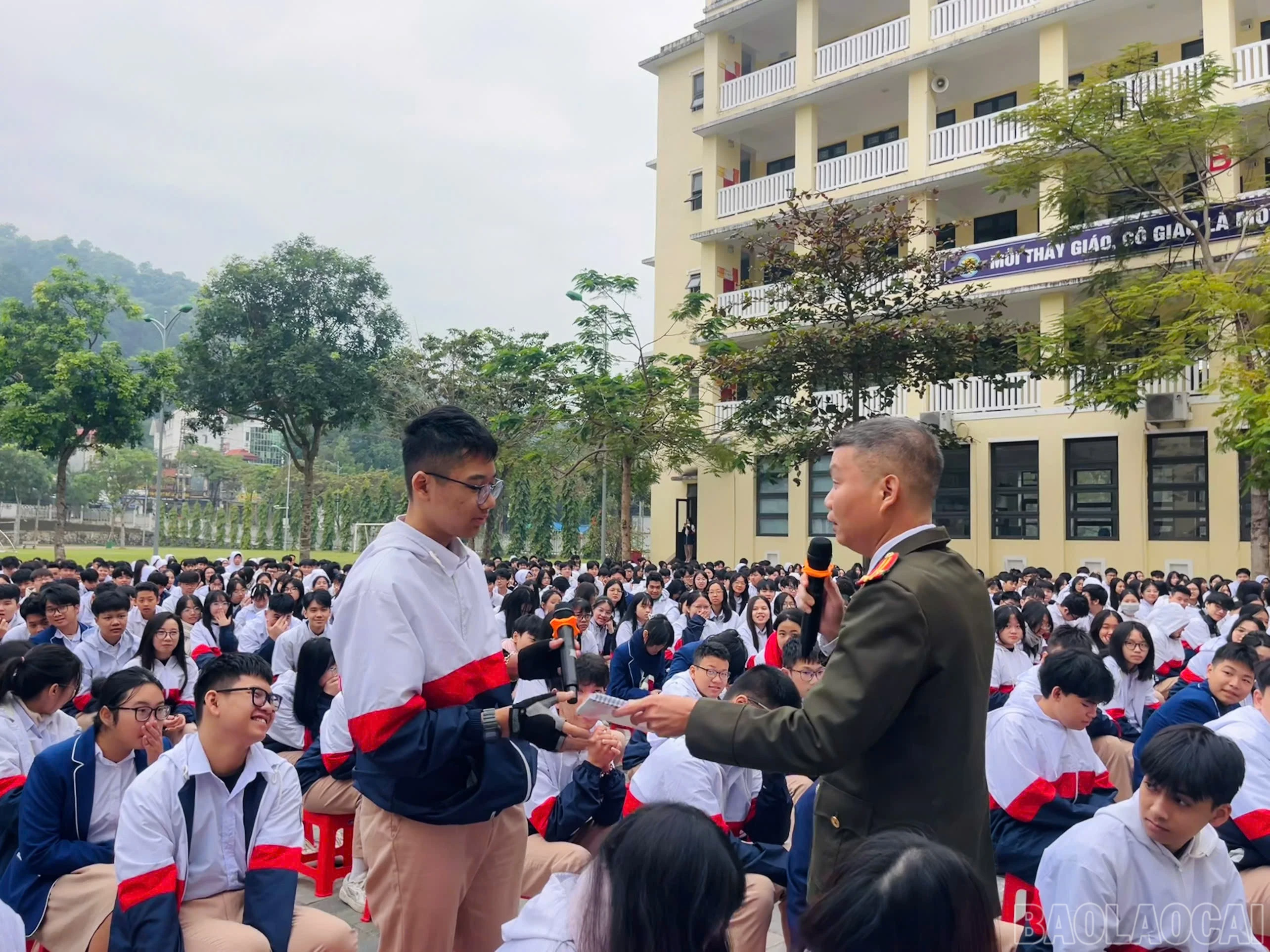 baolaocai-br_z7434061941283-719765ac0c3884b7d4fbc4ecc0811803.jpg