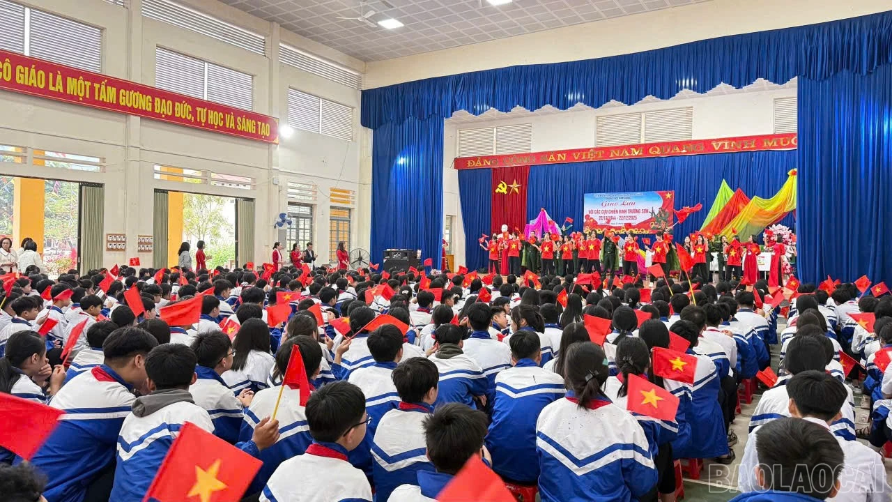 baolaocai-br_chi-2212.jpg