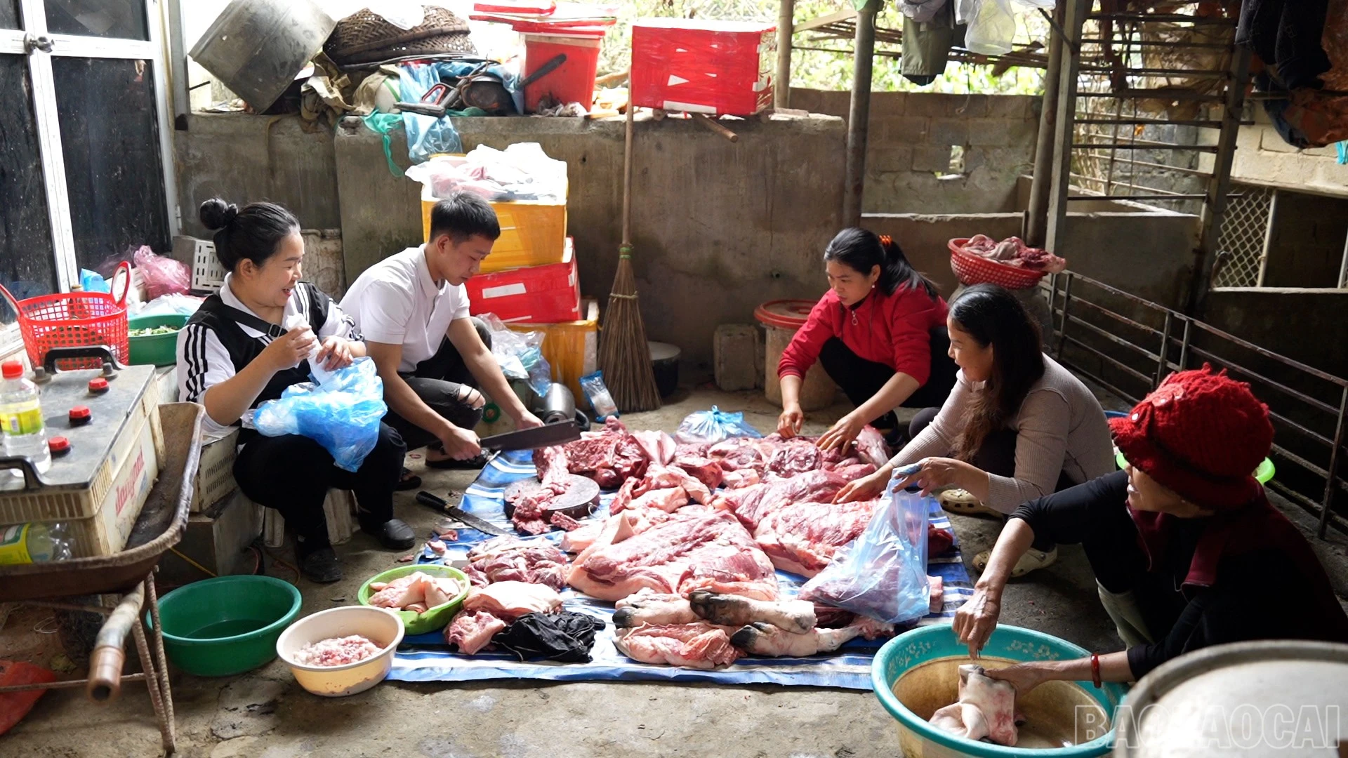 baolaocai-br_chii-132-4.jpg