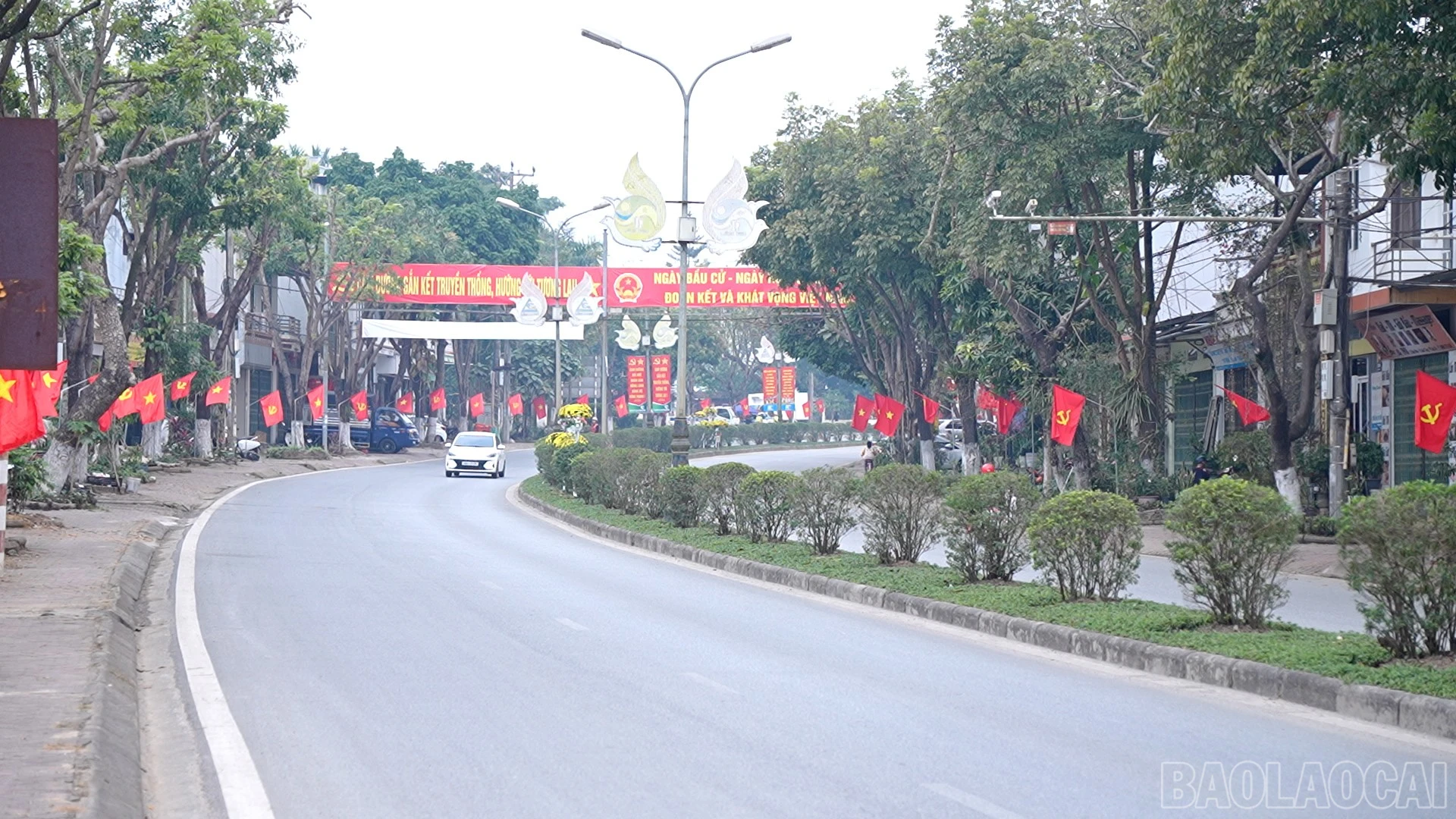 baolaocai-br_1.jpg