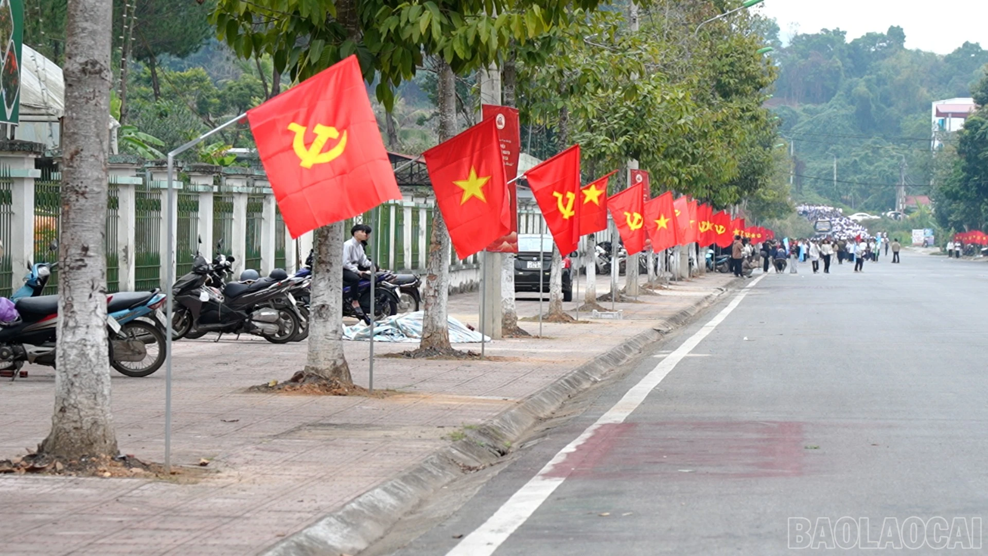 baolaocai-br_chii-812026-3.jpg