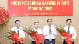 Ban Thường vụ Tỉnh ủy công bố các quyết định về công tác cán bộ