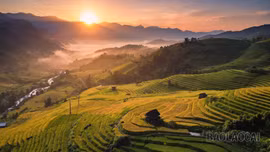Mường Bo mùa lúa chín - Vẻ đẹp bình yên nơi thung lũng cuối trời Sa Pa