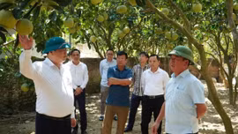 Đồng chí Sùng A Lềnh làm việc với Đảng ủy phường Trung Tâm, khảo sát thực tế tại tổ dân phố Quân Chanh