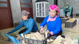 Giữ hồn văn hóa, tạo sinh kế bền vững từ bảo tồn và phát triển làng nghề