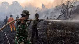 Cháy rừng gây khói mù nguy hiểm khắp Đông Nam Á: Indonesia rải 8.000 kg muối để khống chế đám cháy