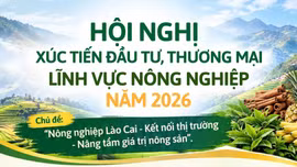 Hội nghị xúc tiến đầu tư, thương mại lĩnh vực nông nghiệp năm 2026