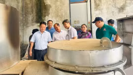 Nghiệm thu đề tài nghiên cứu công nghệ, thiết bị sơ chế, chế biến sa nhân, thảo quả tại xã Sín Chéng