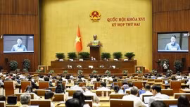 Thông cáo báo chí số 10, Kỳ họp thứ 2, Quốc hội khóa XVI