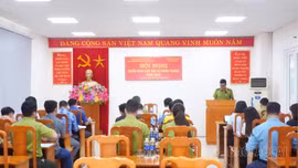 Trấn Yên triển khai cấp mã số rừng trồng
