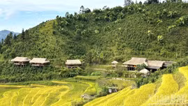Không gian quảng bá, kết nối sản phẩm OCOP gắn với du lịch cấp vùng tại tỉnh Lào Cai năm 2026