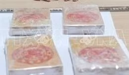 Bắt giữ hai đối tượng vận chuyển trái phép 15 bánh heroin