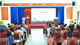 Phường Trung Tâm tiên phong mở hướng phát triển dược liệu theo chuỗi giá trị