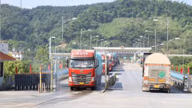 Giá trị kim ngạch hàng hóa xuất nhập khẩu qua cửa khẩu Lào Cai trong 9 tháng đạt gần 3 tỷ USD