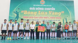 Bế mạc Giải bóng chuyền “Bông lúa vàng” năm 2026 
