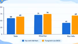 Gần 60% học sinh Việt Nam chưa đạt chuẩn đọc hiểu cơ bản
