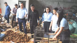 Ngành quế 8 tháng năm 2026: Thị trường nào đang thay thế dần "ngôi vương" châu Á?